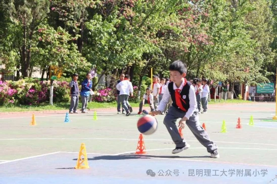 哪里可以找到关于篮球协调训练的教程?_0